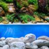 Seaview Aqua Garden/Brightstone