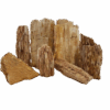 Lifegard Burma Petrified Surmese Stone - Medium