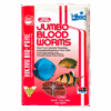 Hikari Frozen Jumbo Blood Worms