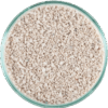 CaribSea Seafloor Substrate