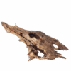 Galapagos Natural Driftwood Hollow Tree Root