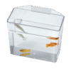 Lees Specimen Container