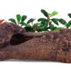 Seachem Aquavitro Ceramic Hide